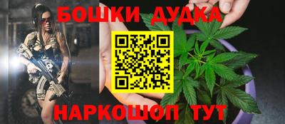 гидра Майкоп