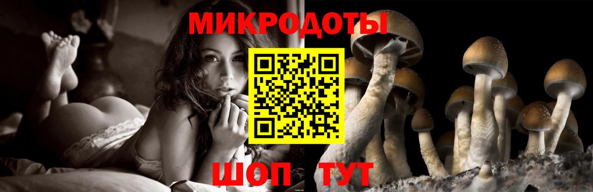 Галлюциногенные грибы мухоморы Кудрово